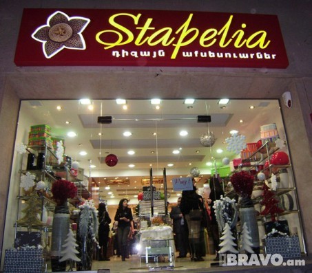 Նորաբաց Stapelia խանութը