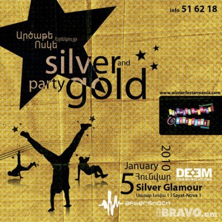 Silver and Gold Party