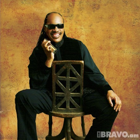 Stevie Wonder